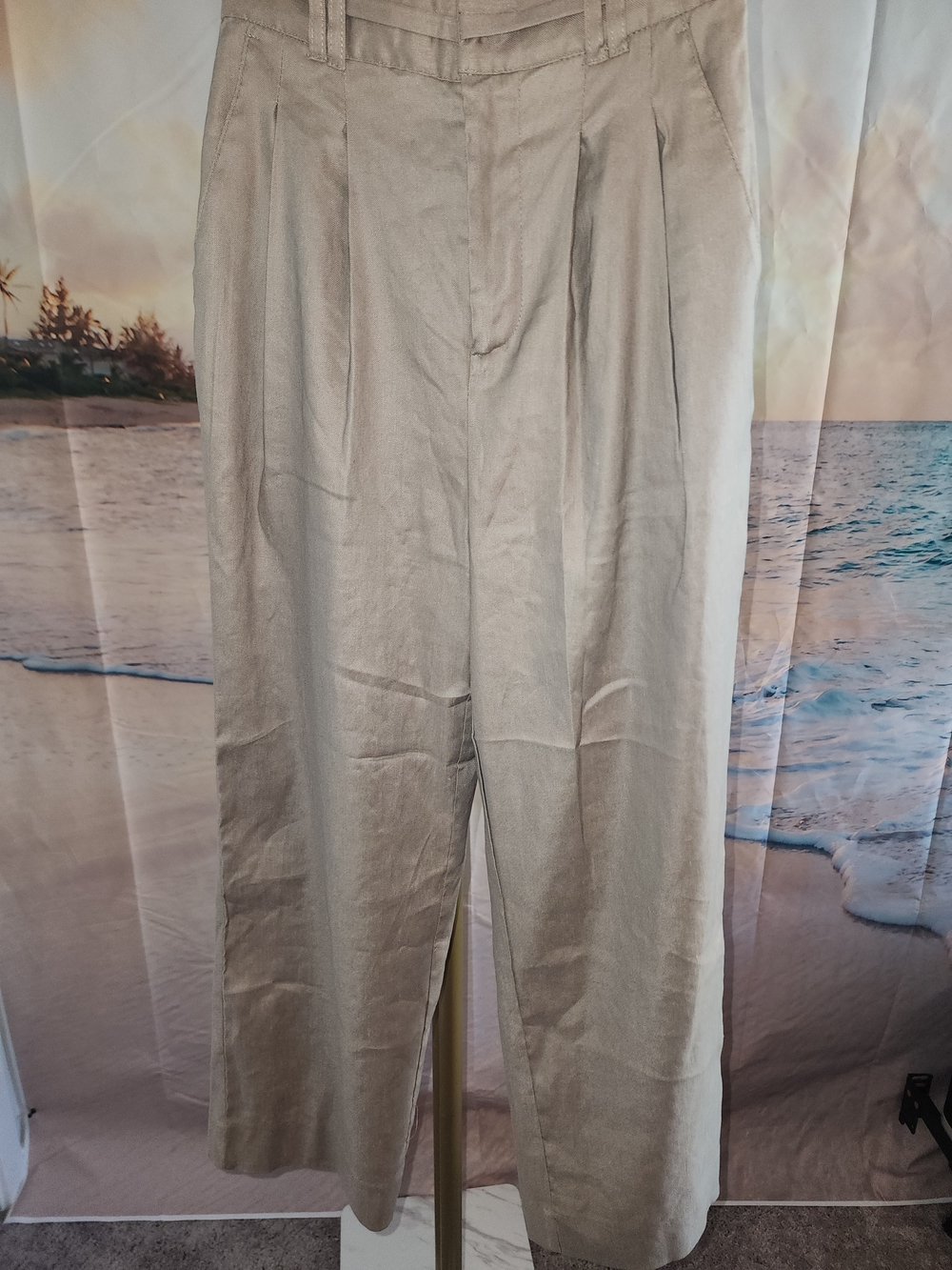 Bailey 44 Wide-Leg Pleated Trousers in Beige Nwot Never Worn - Picture 2 of 7